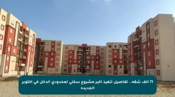 71 ألف شقة.. تفاصيل تنفيذ أكبر مشروع سكني لمحدودي الدخل في أكتوبر الجديدة